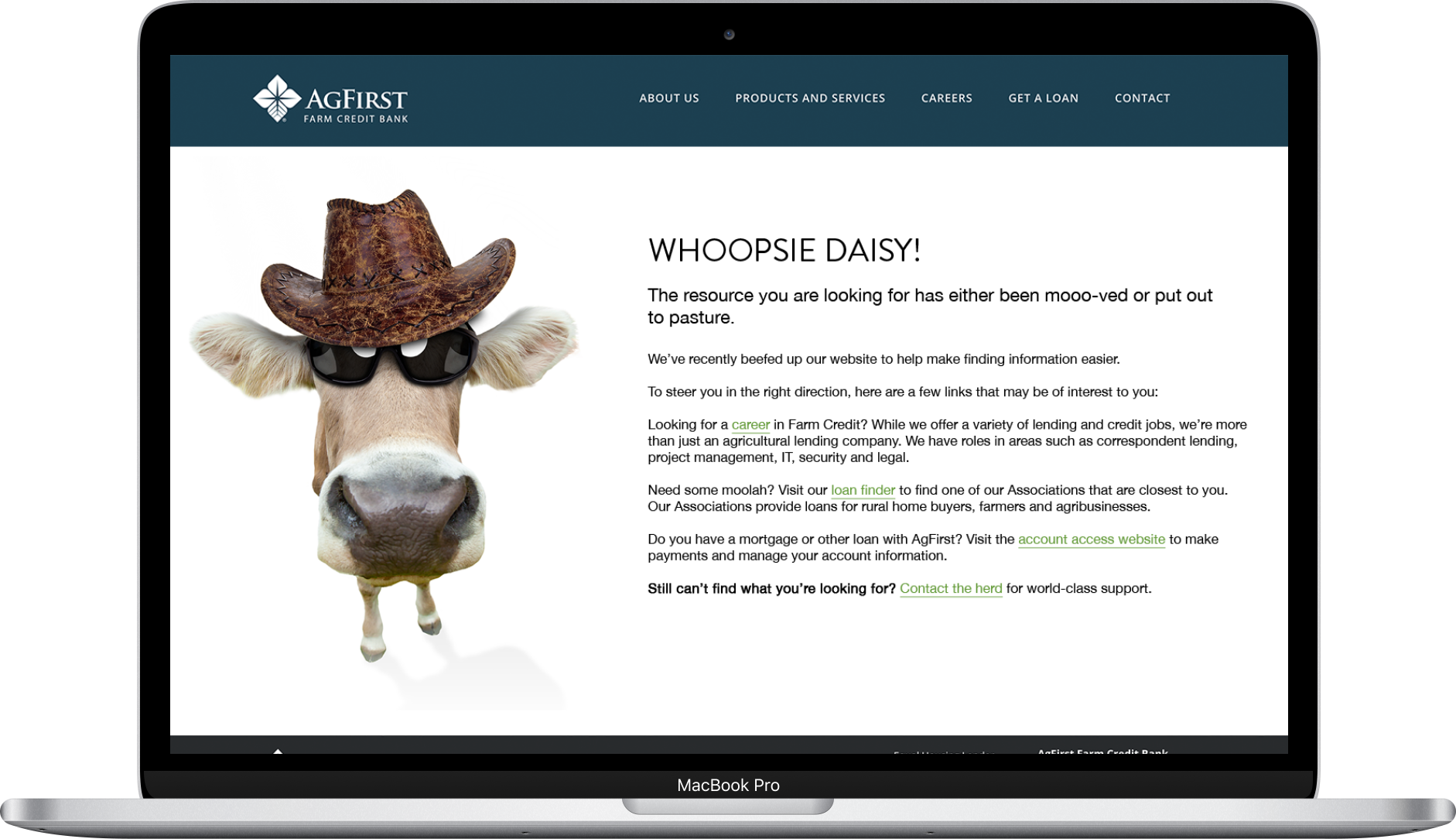 agfirst-404-page Preview of 404 error page on the new AgFirst website